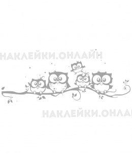 �������� �� ����� "�������"